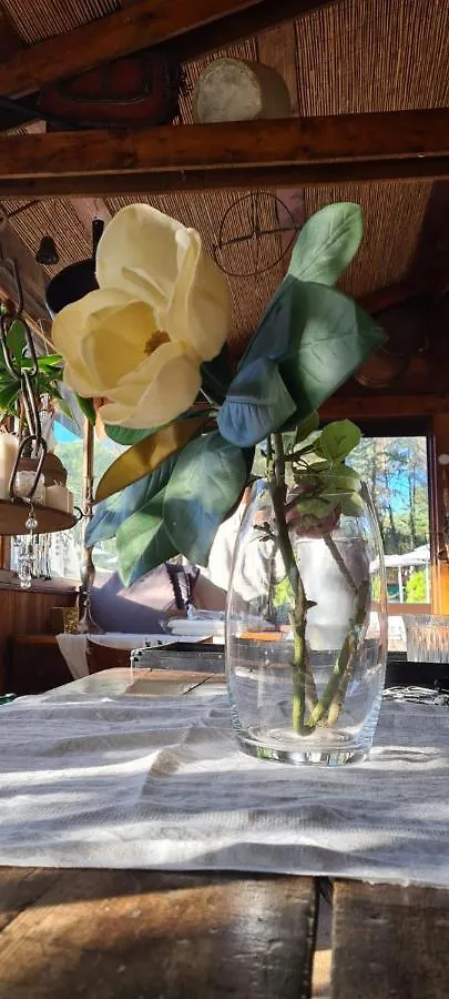 Camere Vecchia Fonte Campiglia Marittima Bed & Breakfast